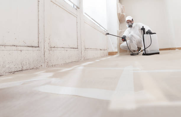 24/7 Emergency Mold Remediation experts in Wellersburg, PA